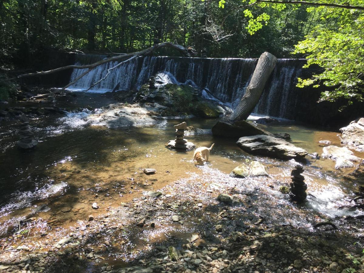 Gite Au Bord De La Riviere Gijou Saint-Pierre-de-Trivisy ภายนอก รูปภาพ